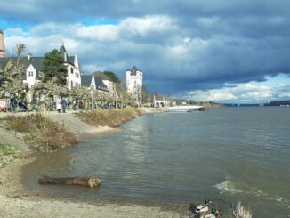 Eltville erneuert denkmalgeschütztes Rheinufergeländer und ergänzt es um Edelstahlnetz