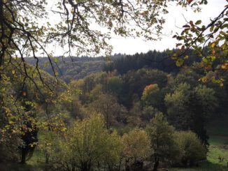 Rauenthal bekommt neuen 5,4 Kilometer Rundweg zu Aussichtspunkten und Streuobstwiesen
