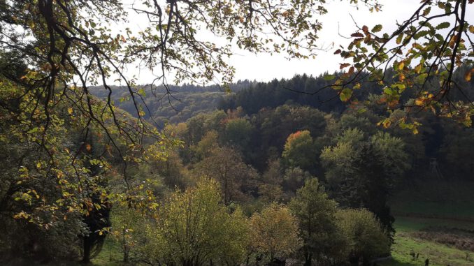 Rauenthal bekommt neuen 5,4 Kilometer Rundweg zu Aussichtspunkten und Streuobstwiesen Rauenthal bekommt neuen 5,4 Kilometer Rundweg zu Aussichtspunkten und Streuobstwiesen