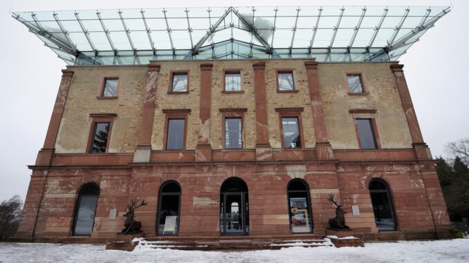 Stadtwald verkauft FSC und Naturland zertifizierte Nordmanntannen zum Selbstschlagen