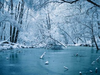 Wiesbaden warnt: Gefrorene Seen und Häfen nicht betreten