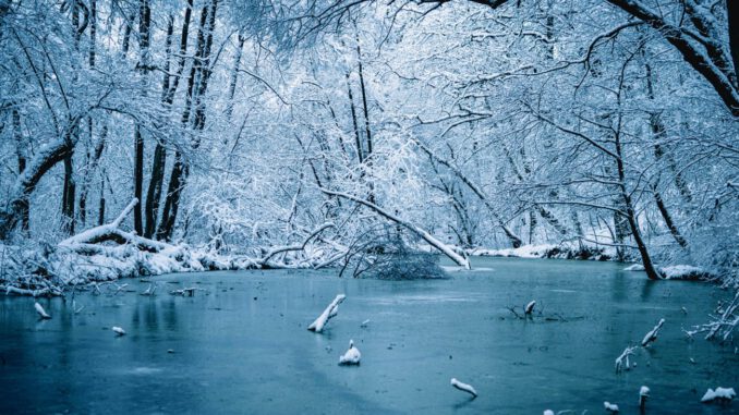Wiesbaden warnt: Gefrorene Seen und Häfen nicht betreten